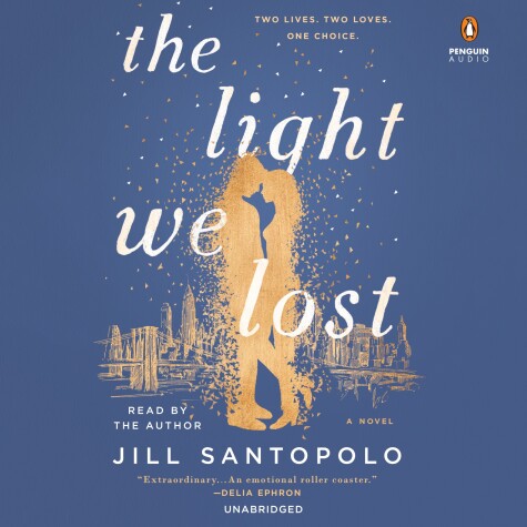 Book cover for The Light We Lost