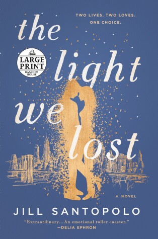 Book cover for The Light We Lost