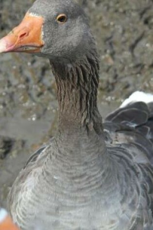 Cover of Greylag Goose About to Attack Journal