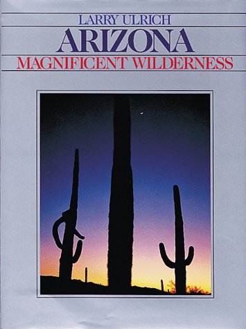 Book cover for Arizona