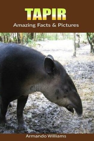 Cover of Tapir