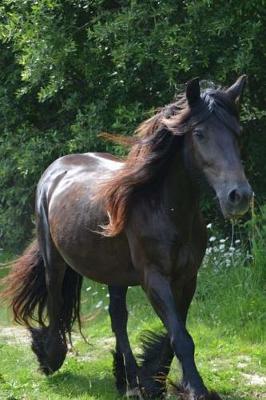 Book cover for Awesome Brown Horse in the Pasture on a Windy Day Journal