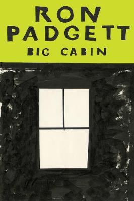 Book cover for Big Cabin