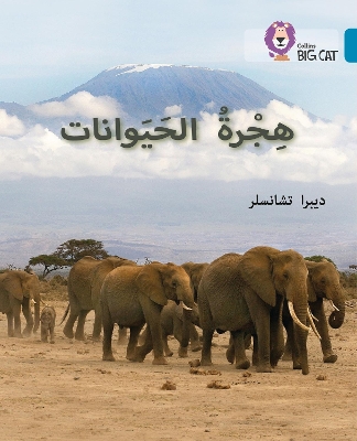 Book cover for Animal Migration