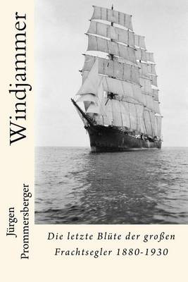 Book cover for Windjammer