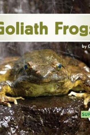 Cover of Goliath Frogs