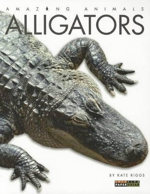 Book cover for Alligators