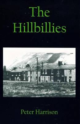 Book cover for The Hillbillies