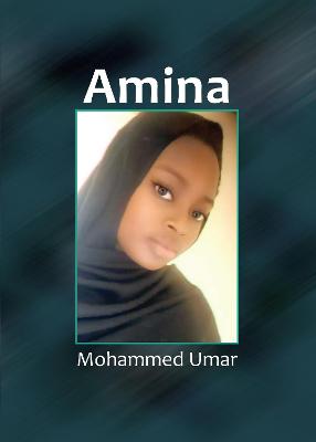 Book cover for AMINA - HAUSA EDITION