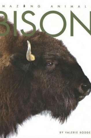 Cover of Bison