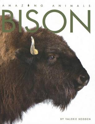 Book cover for Bison