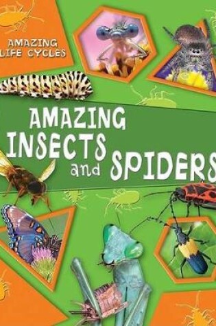 Cover of Amazing Insects and Spiders