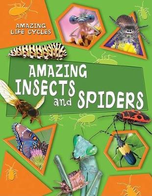 Book cover for Amazing Insects and Spiders