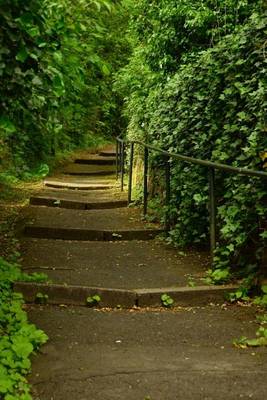 Book cover for Gradual Concrete Stairs and an Ivy Fence