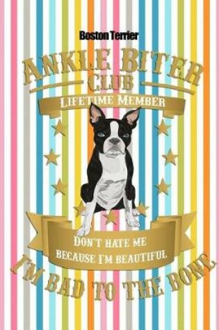 Cover of Boston Terrier