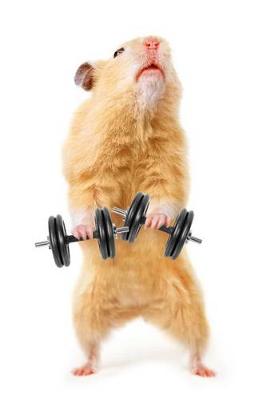 Book cover for The Hamster Workout Journal