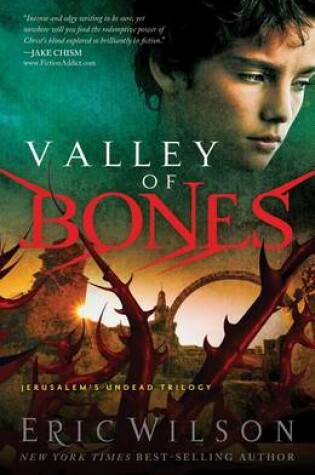 Cover of Valley of Bones