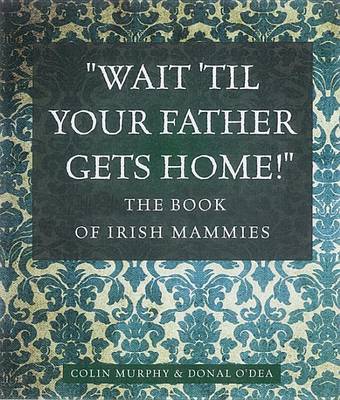 Book cover for The Book of Irish Mammies