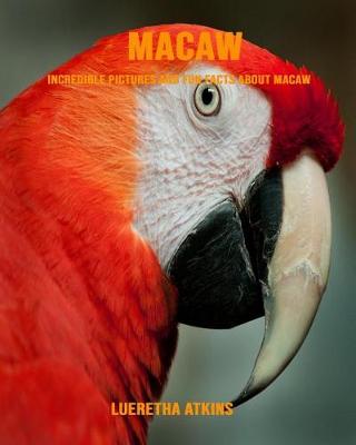 Book cover for Macaw