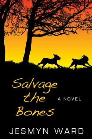 Cover of Salvage the Bones