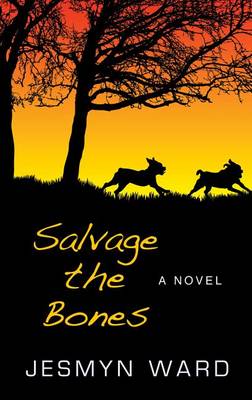 Book cover for Salvage the Bones