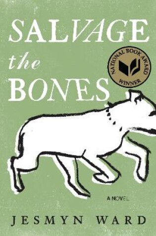 Cover of Salvage the Bones