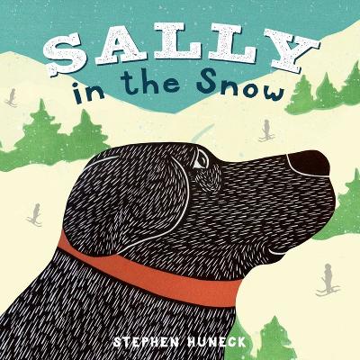 Book cover for Sally in the Snow