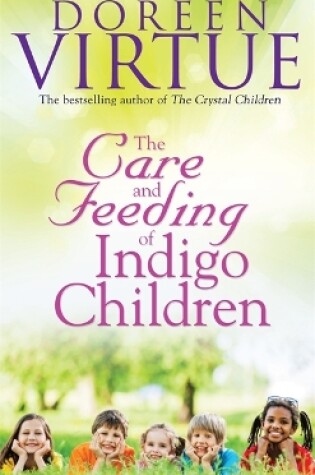 Cover of The Care and Feeding of Indigo Children