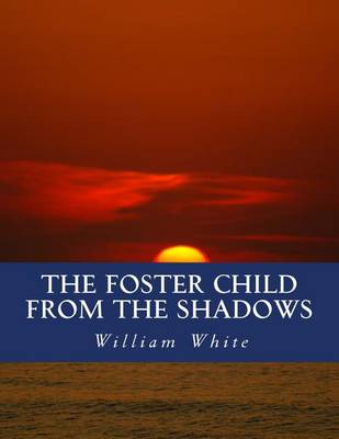 Book cover for The Foster Child From The Shadows