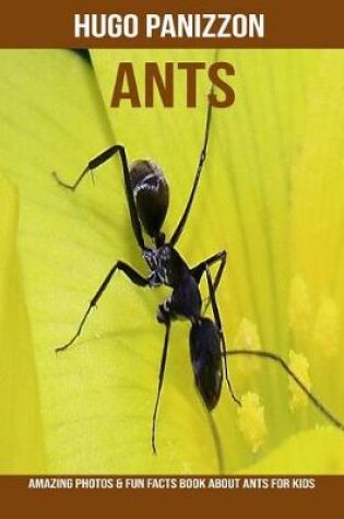 Cover of Ants