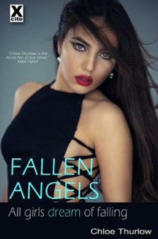 Cover of Fallen Angels and other stories