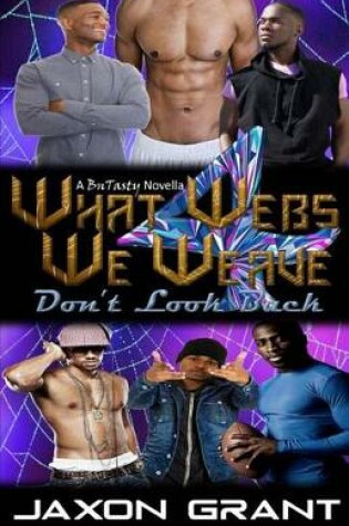 Cover of What Webs We Weave 4
