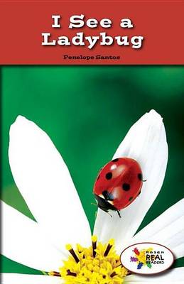 Book cover for I See a Ladybug
