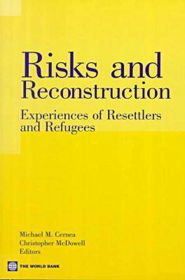 Book cover for Risks and Reconstruction