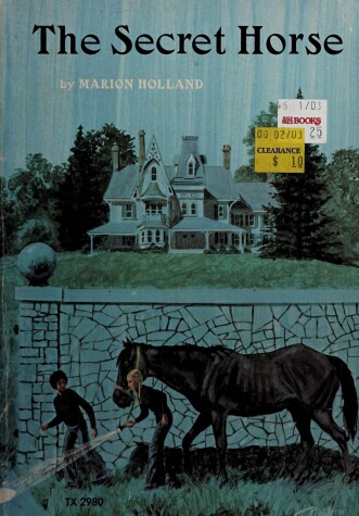 Book cover for The Secret Horse