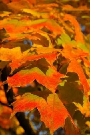 Cover of A Canopy of Colorful Autumn Leaves Journal