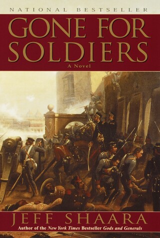 Book cover for Gone for Soldiers