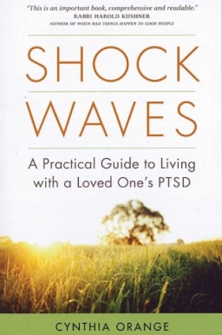 Cover of Shock Waves