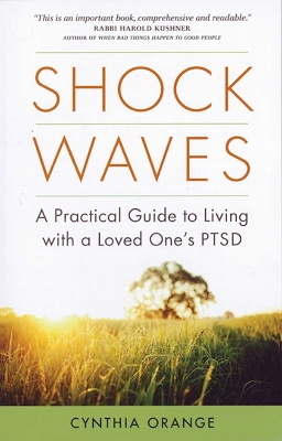 Book cover for Shock Waves