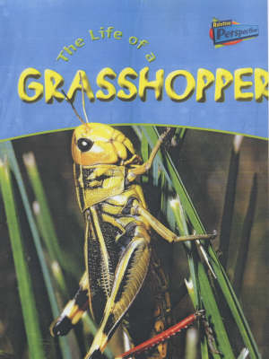 Book cover for The Life Of A Grasshopper