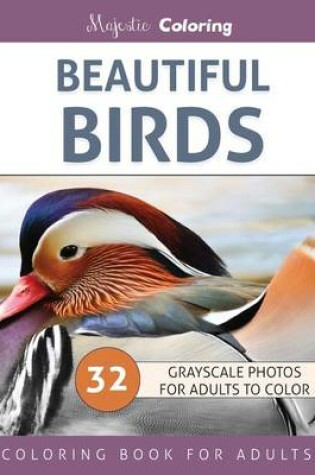 Cover of Beautiful Birds