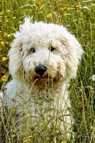 Cover of Goldendoodle in the Grass, for the Love of Dogs