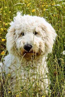 Book cover for Goldendoodle in the Grass, for the Love of Dogs