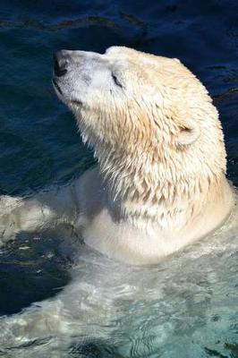 Book cover for Polar Bear Enjoying a Swim Animal Journal