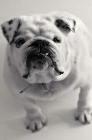 Cover of Beautiful English Bulldog (for the Love of Dogs)