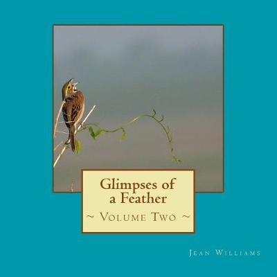 Book cover for Glimpses of a Feather - Volume Two