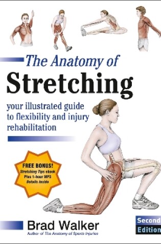 Cover of The Anatomy of Stretching