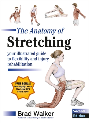 Book cover for The Anatomy of Stretching