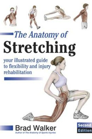 Cover of The Anatomy of Stretching