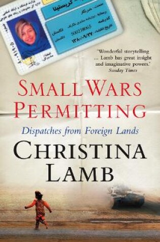 Cover of Small Wars Permitting